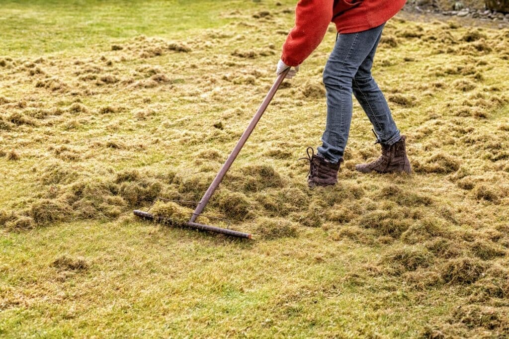 De-Thatching Services | Revitalize Your Lawn with Bamboo Mowing